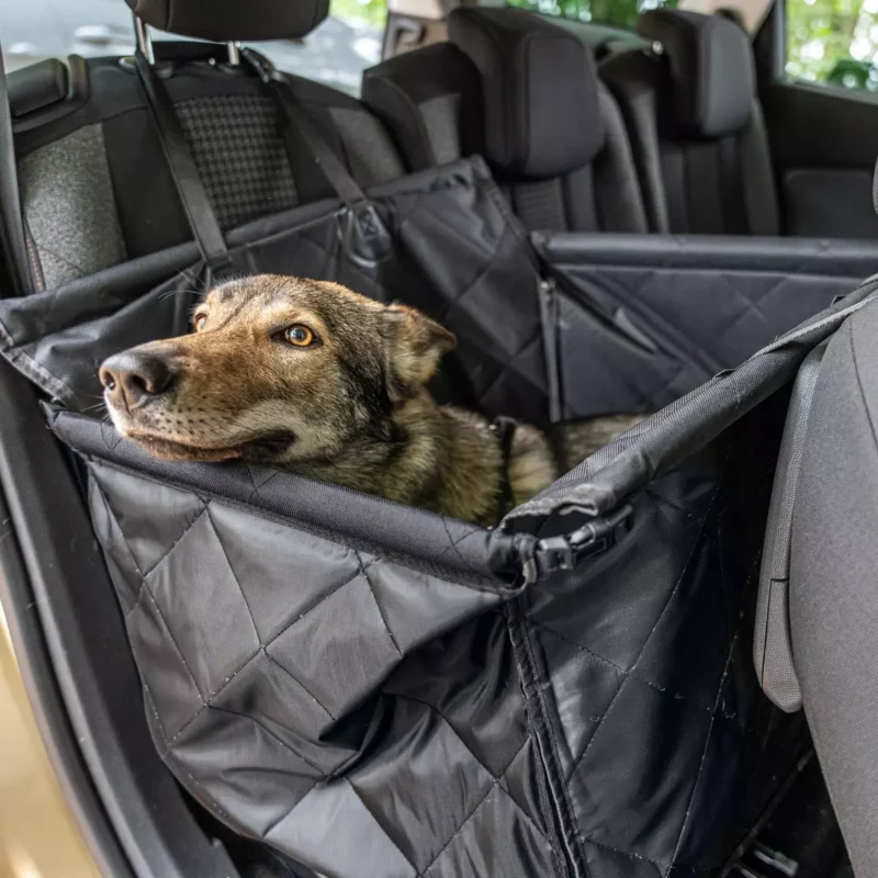 Jak bezpiecznie przewozić psa w samochodzie przy pomocy maty wielofunkcyjnej