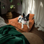 Legowisko dla dużego psa Łóżko Materac Posłanie dla psa Rude XL 100x70 cm - obrazek 3